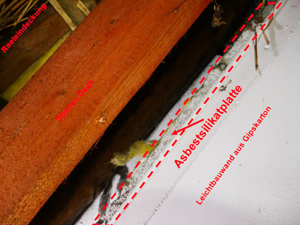 Untersuchung-Promatplatte-Dach
